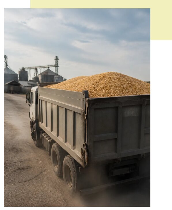 Перевозка сельхозпродукции навалом в Щербинку по цене от 3055 р. | Агросервис-Щрб
